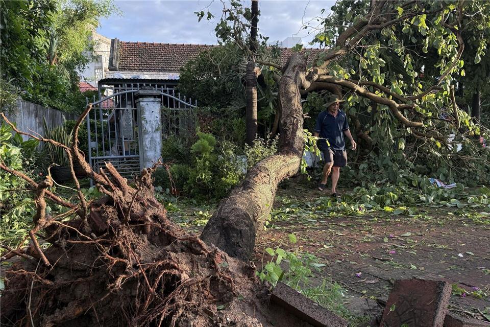 In Vietnam wurden Bäume entwurzelt und Tausende Häuser beschädugt.Tuong Quan/Vietnam News Agency/AP/dpa