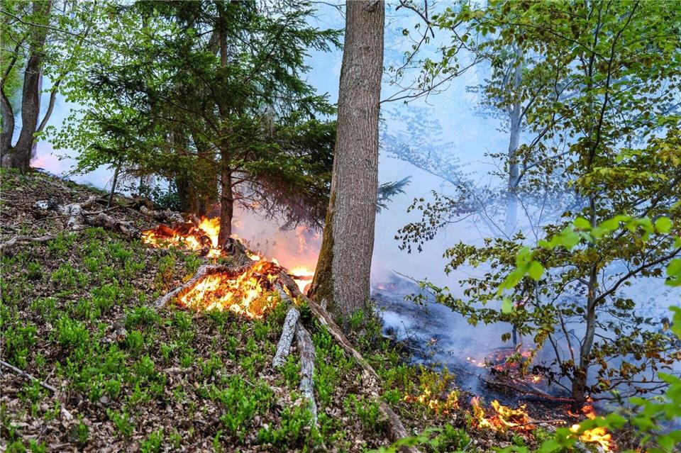 In Werdohl näherten sich die Flammen einer Wohnsiedlung, konnten aber gestoppt werden.Alex Talash/dpa