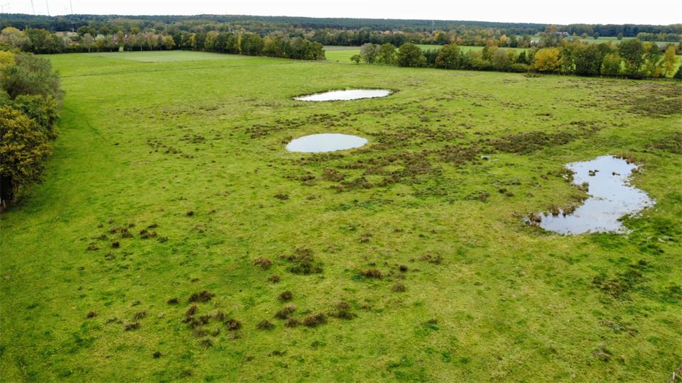 In dem Schutzgebiet sollen Drainagen im Boden durchtrennt werden, um die Flächen noch feuchter zu halten.