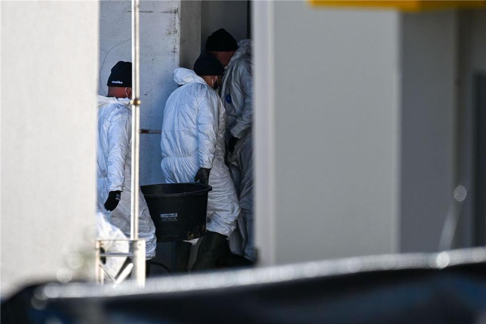 In dem betroffenen Geflügelbetrieb in Öllingen (Alb-Donau-Kreis) wurden rund 15.000 Tiere getötet. -/dpa