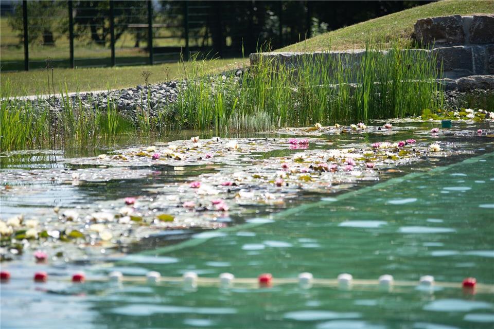 In dem von einer Quelle gespeisten Freibad wird auf den Einsatz von Chlor verzichtet. Das Naturbad wurde mit dem Spar-Euro des Bundes der Steuerzahler Hessen und des Hessischen Städte- und Gemeindebundes ausgezeichnet. Stadt Bad Soden-Salmünster/dpa