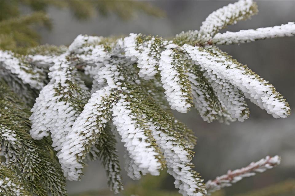 In den Mittelgebirgen wie Erzgebirge, Harz und Thüringer Wald fällt zum Wochenstart noch einmal etwas Schnee. Matthias Bein/dpa