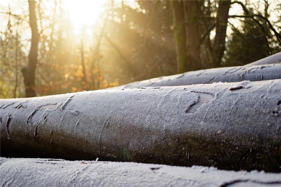 In den Nächten sind örtlich Frost und Reifglätte möglich. Tagsüber sind die Temperaturen aber mild. (Symbolbild)Uwe Anspach/dpa