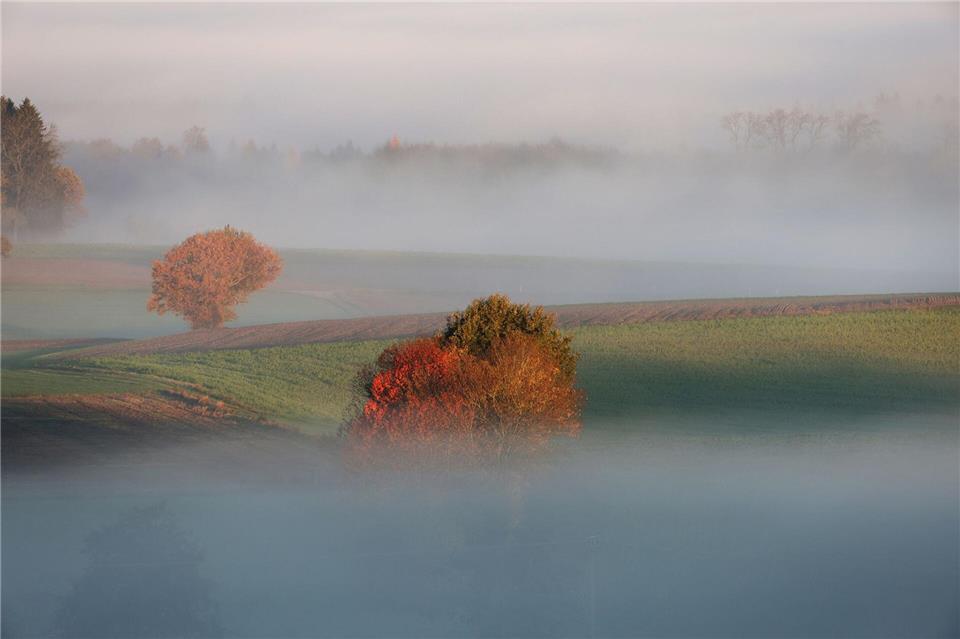 In den Niederungen bleibt es in den kommenden Tagen laut DWD oft trüb. (Archivbild)Thomas Warnack/dpa