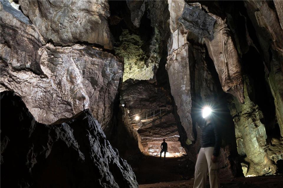 In den Sterkfontein Caves wurden eine Reihe von Knochenfunden gemacht, die bedeutend für das Verständnis der menschlichen Evolution waren. Brett Eloff/Wits University/dpa-tmn