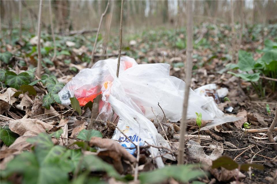 In den Wald geworfener Müll ist ein großes Problem auch in Schleswig-Holstein. (Symbolfoto)Sebastian Kahnert/dpa