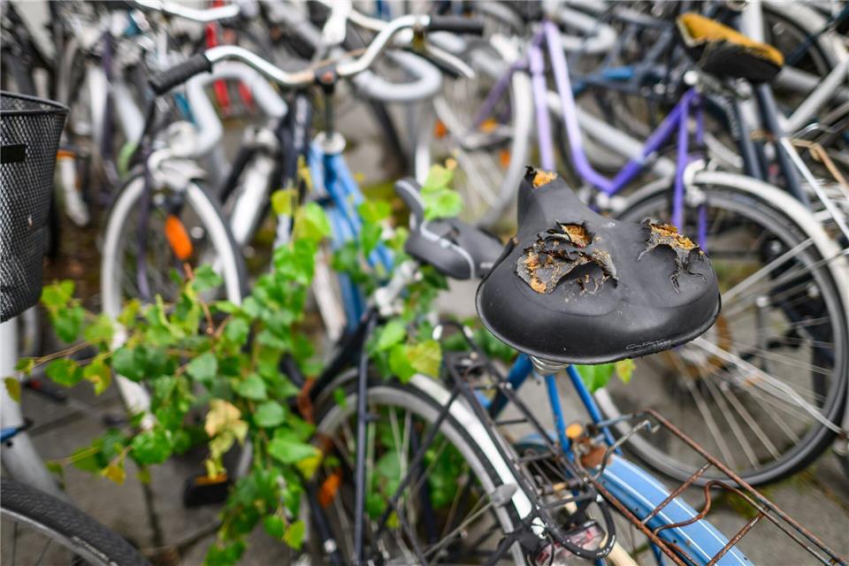 In den drei Großstädten sind voriges Jahr Hunderte Schrotträder entsorgt worden. (Foto Archiv)Robert Michael/dpa