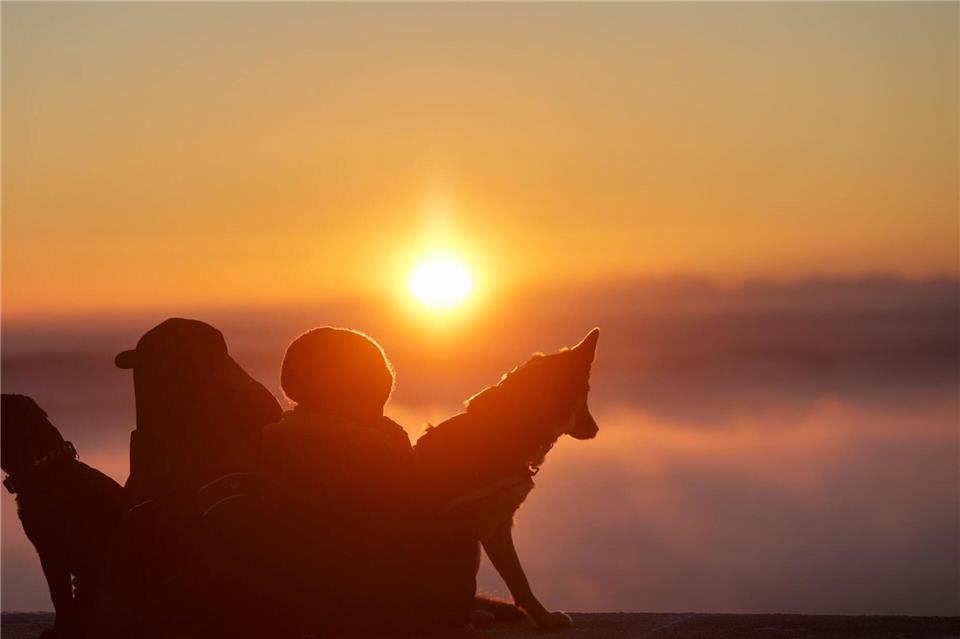 In den höheren Lagen Baden-Württembergs scheint am Sonntag oft die Sonne. (Archivbild)Thomas Warnack/dpa