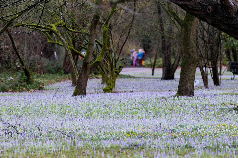 In den kommenden Tagen bleibt es in Nordrhein-Westfalen für die Jahreszeit warm. (Symbolbild)Rolf Vennenbernd/dpa