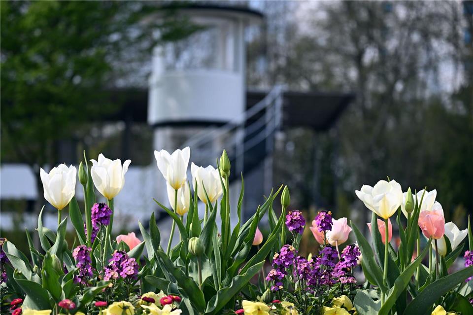 In den kommenden Tagen den Regenschirm nicht vergessen, etwa für die Landesgartenschau in Neuss. (Archivbild)Federico Gambarini/dpa