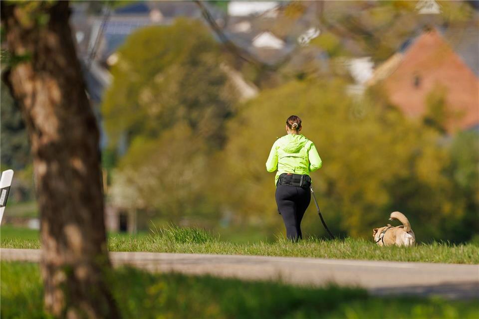 In den kommenden Tagen erwartet der DWD zunehmend sonniges Wetter. (Symbolbild)Jörg Halisch/dpa