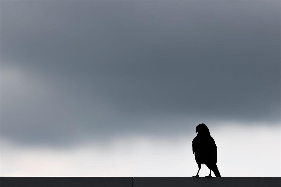 In den kommenden Tagen erwartet die Menschen in NRW vor allem Wolken. (Symbolbild)Rolf Vennenbernd/dpa