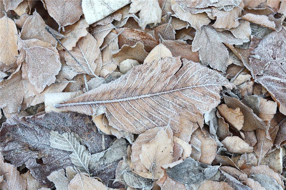 In den kommenden Tagen kann es Sprühregen und Glätte geben. (Symbolbild)Matthias Bein/dpa