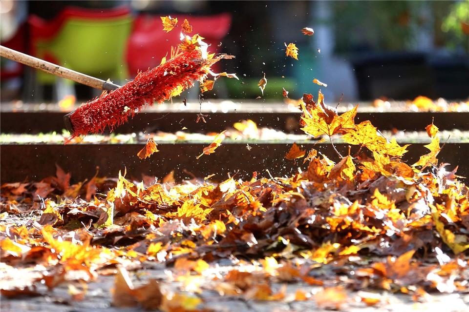 In Borken müssen Anwohner auch Gehwege von Laub befreien In den meisten Wohnstraßen in geschlossenen Siedlungsbereichen müssen die Grundstückseigentümer auch den Gehweg von Laub befreien.