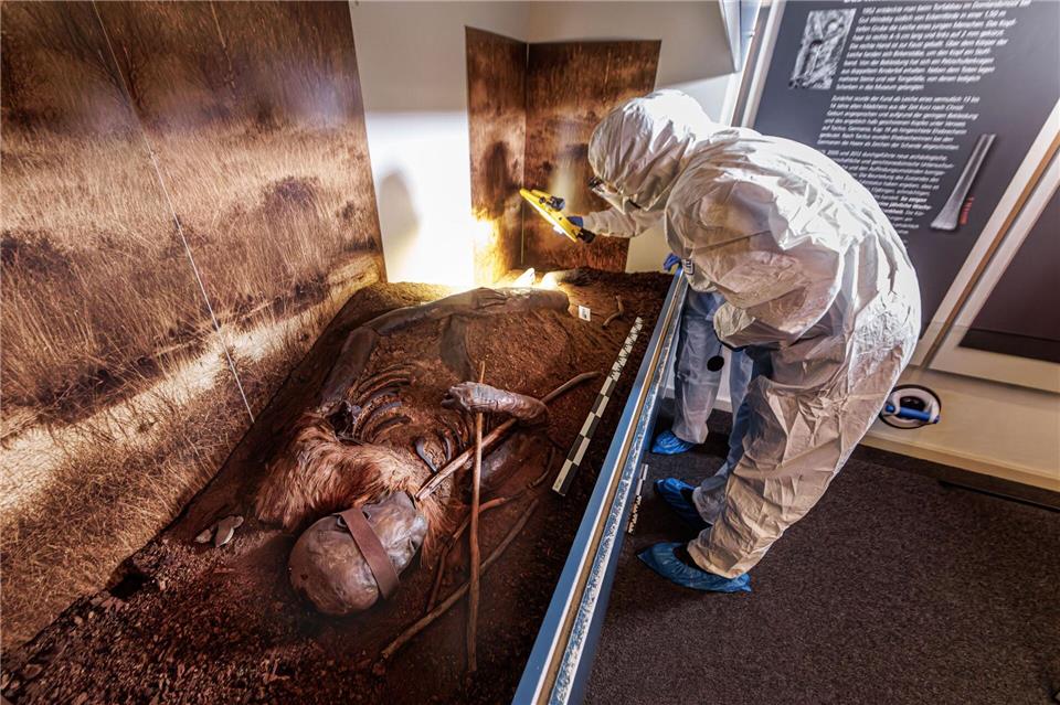 In den nächsten Jahren werden die Moorleichen als Teil einer Ausstellung in Dänemark zu sehen sein.Markus Scholz/dpa
