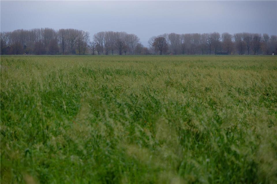 In den nächsten Tagen ist immer wieder Regen möglich. In der Nacht wird es bei Temperaturen knapp unter 0 Grad auch mal glatt. (Archivbild)Henning Kaiser/dpa