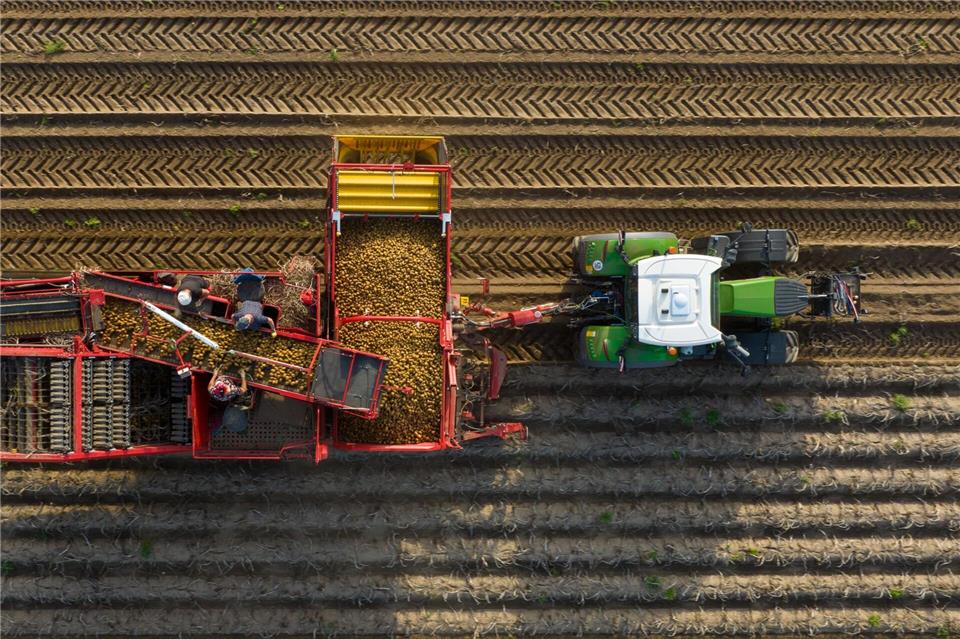 In den nächsten Wochen sind viele landwirtschaftliche Fahrzeuge unterwegs auf den Straßen. (Symbolbild)Philipp Schulze/dpa