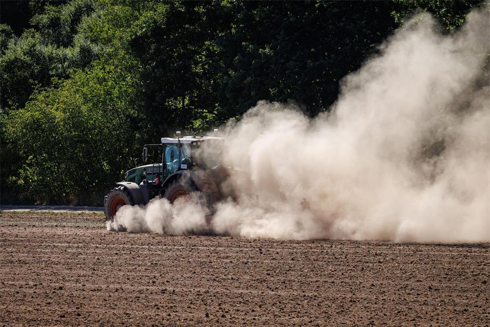 In den vergangenen Tagen hat es geregnet, doch die Monate der Trockenheit zuvor bescheren den Bauern Ernteeinbußen. (Symbolbild)Daniel Karmann/dpa
