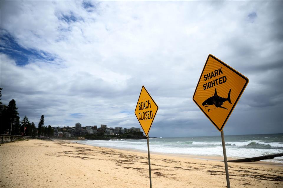 In den vergangenen Tagen wurden immer wieder Haie gesichtet - auch vor dem berühmten Bondi Beach. (Symbolbild)Bianca De Marchi/AAP/dpa
