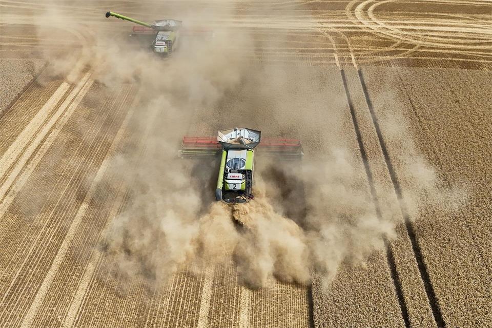 In den vergangenen Wochen lief die Ernte in Sachsen-Anhalt auf Hochtouren. (Archivbild) Peter Gercke/dpa