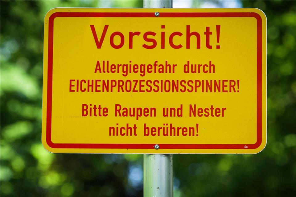 In der Berliner Hasenheide wird vor dem Eichenprozessionsspinner gewarnt.Soeren Stache/dpa