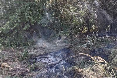 Fire at Erler Heide