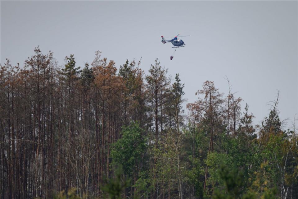 In der Gohrischheide im Landkreis Meißen war am Samstag in munitionsbelastetem Gebiet ein größerer Brand ausgebrochen. Robert Michael/dpa