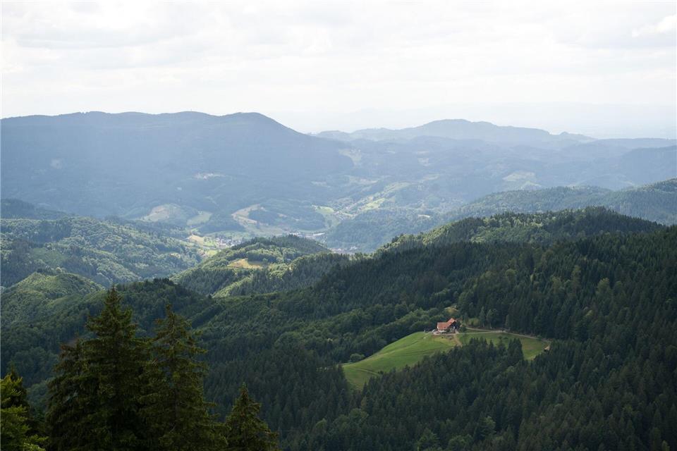 In der Idylle des Schwarzwaldes spielt das Märchen „Das kalte Herz“. (Symbolbild)picture alliance / dpa