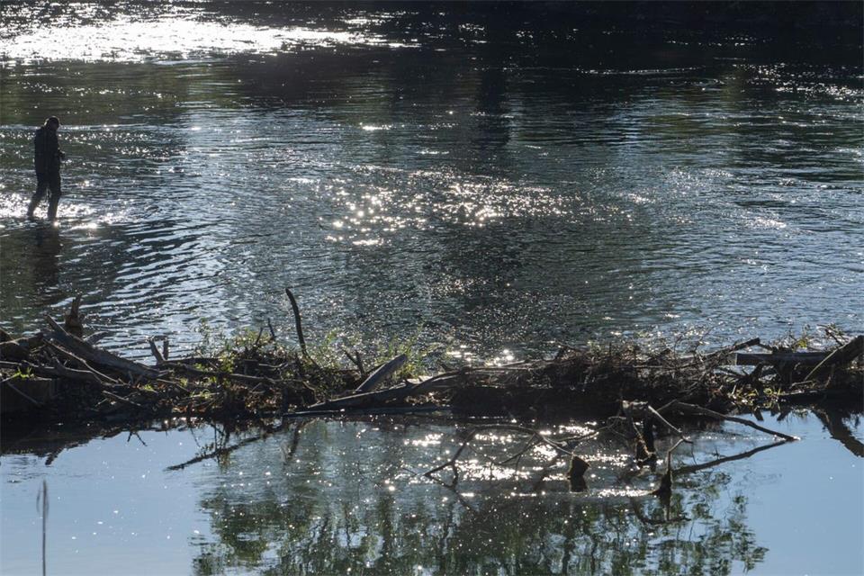 In der Isar setzte das Bayerische Landesamt für Umwelt rund 40.000 Fische aus. (Symbolbild)Stefan Puchner/dpa
