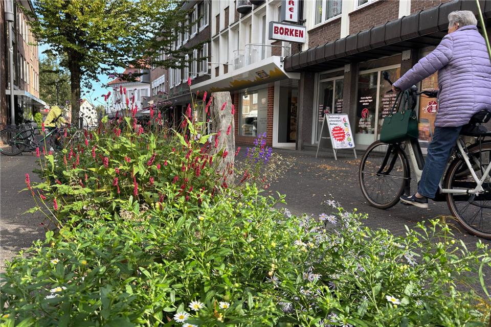 In der Johann-Walling-Straße unterbrechen Pflanzbeete die ansonsten eher triste Optik der Straße.