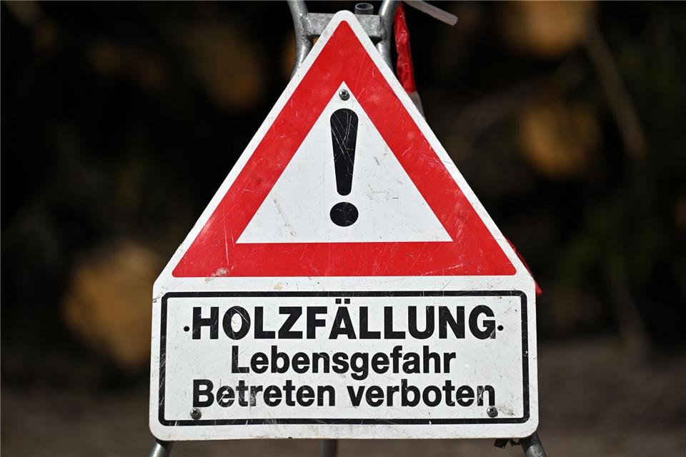 In der Land- und Forstwirtschaft sowie auf Baustellen liegen über einen längeren Zeitraum betrachtet die Schwerpunkte für tödliche Arbeitsunfälle. (Archivbild)Martin Schutt/dpa