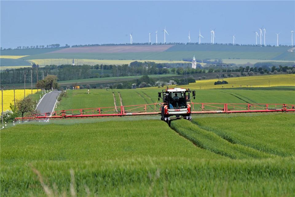 In der Landwirtschaft werden Pflanzenschutzmittel gezielt gegen Schädlinge eingesetzt. (Symbolbild) Martin Schutt/dpa