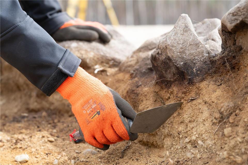 In der Laußnitzer Heide sind bei Ausgrabungen Hügelgräber aus der Jungsteinzeit entdeckt worden. Sebastian Kahnert/dpa