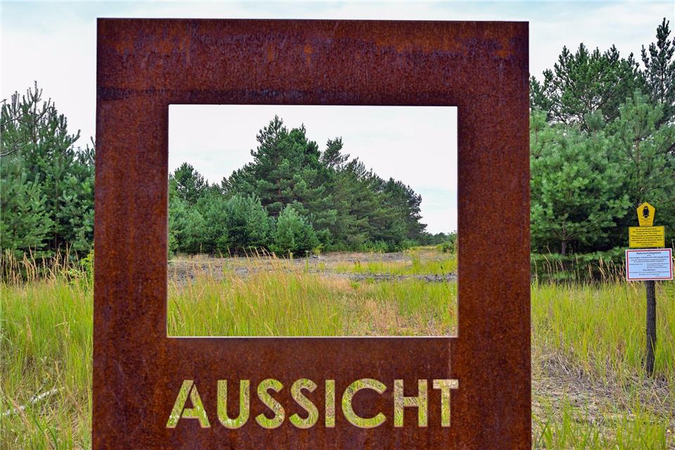 In der Lieberose Heide schützt die Stiftung Naturlandschaften Brandenburg die Natur auf einem ehemaligen Truppenübungsplatz. Die Stiftung, die noch drei andere Flächen besitzt, feiert 25-jähriges Jubiläum.Patrick Pleul/dpa