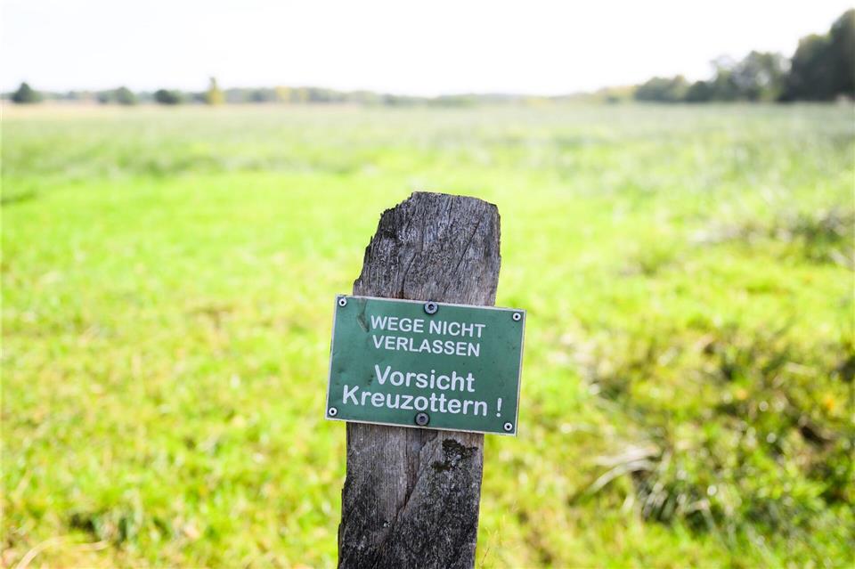 In der Lüneburger Heide hängen Warnschilder. Nach einem Biss soll man sich in ärztliche Beobachtung begeben.Julian Stratenschulte/dpa