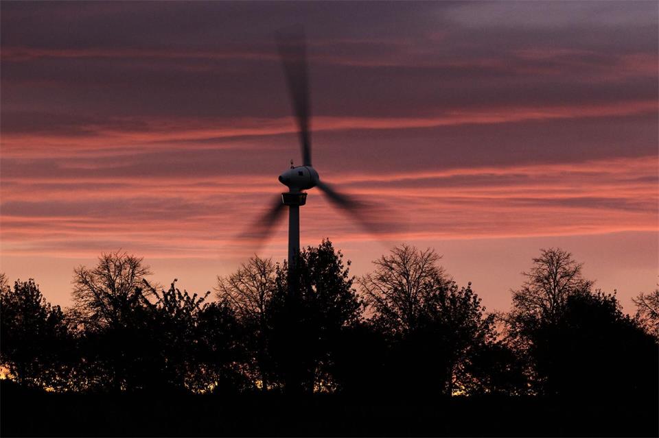 In der Nacht mussten in Niedersachsen erste umgestürzte Bäume und abgebrochene Äste beseitigt werden. (Symbolbild)Julian Stratenschulte/dpa