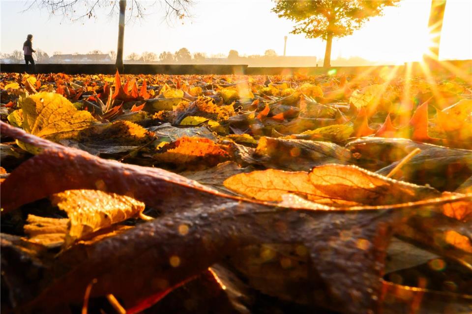 Milder Herbst – Sonne und Wolken am Wochenende In der Nacht zu Samstag ist auch Bodenfrost möglich. (Archivfoto)Julian Stratenschulte/dpa