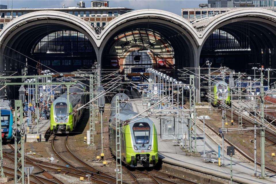 In der Nähe einer Oberleitung hat sich eine Eule in der Dachkonstruktion verfangen. (Symbolbild)Markus Scholz/dpa