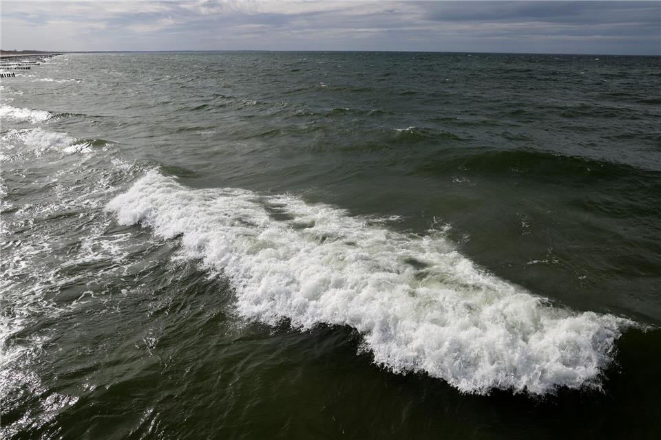In der Ostsee vor dem polnischen Seebad Miedzyzdroje wurde ein Wal gesichtet. (Archivbild)Bernd Wüstneck/dpa