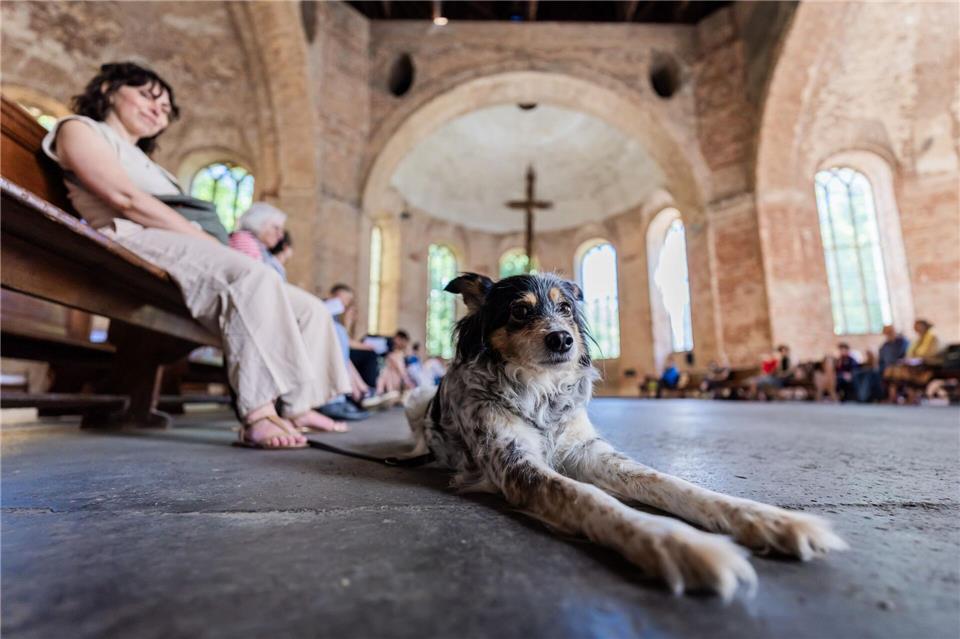 In der Parochialkirche wurde zum Tiersegnungsgottesdienst geladen.Christoph Soeder/dpa