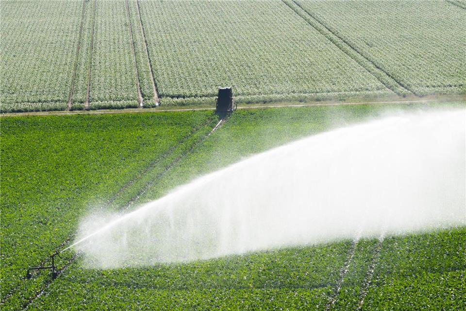 In der Pfalz verfehlte eine Beregnungsanlage das eigentliche Ziel. (Symbolfoto)Julian Stratenschulte/dpa