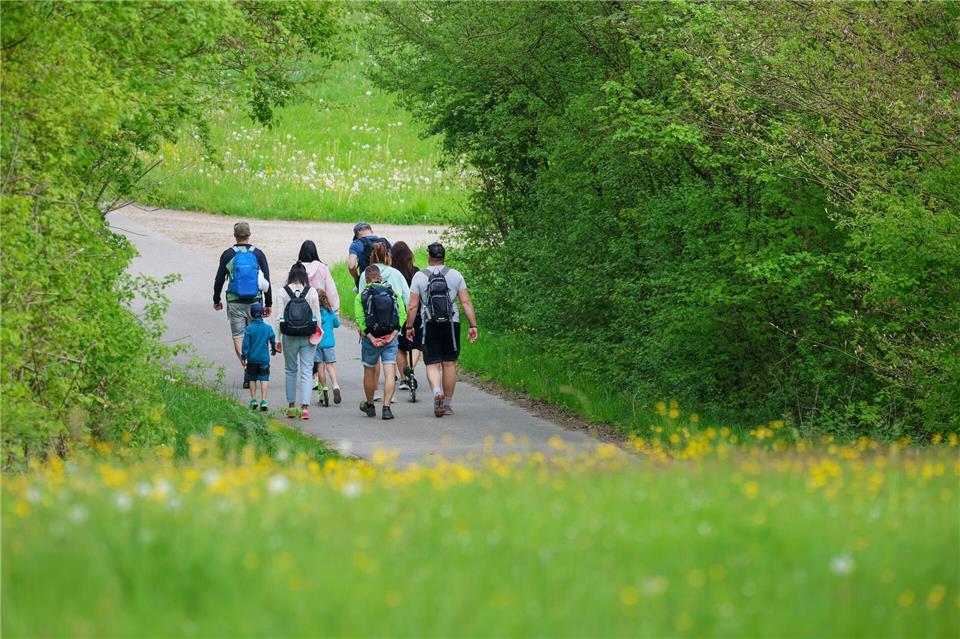 In der Region sind in diesem Jahr unter anderem mehrere neue Wanderwege eröffnet worden. (Symbolbild)Thomas Warnack/dpa