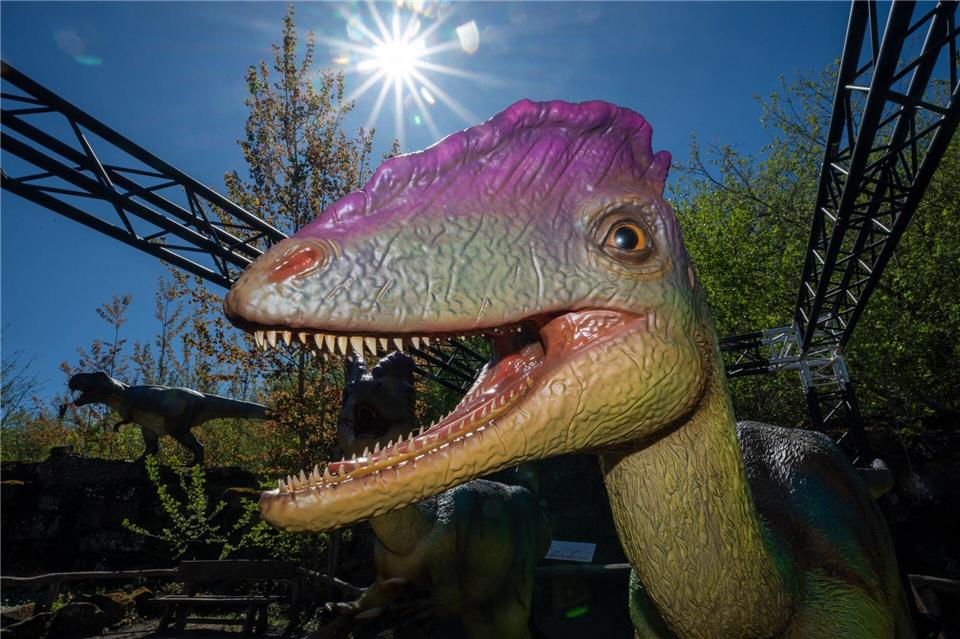 In der Südeifel gibt es den ersten Nachweis eines Dinosauriers in Rheinland-PfalzHarald Tittel/dpa