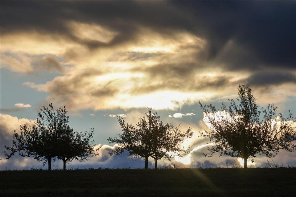 Wolken, Wind und Regen – Wetter bleibt unbeständig In der Südpfalz scheint am Mittwoch zeitweise die Sonne. (Archivbild)Thomas Warnack/dpa