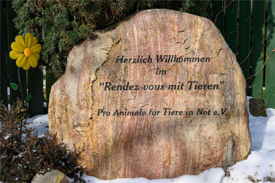 In der Tierherberge werden Hunde aus der Ukraine versorgt.Patrick Pleul/dpa