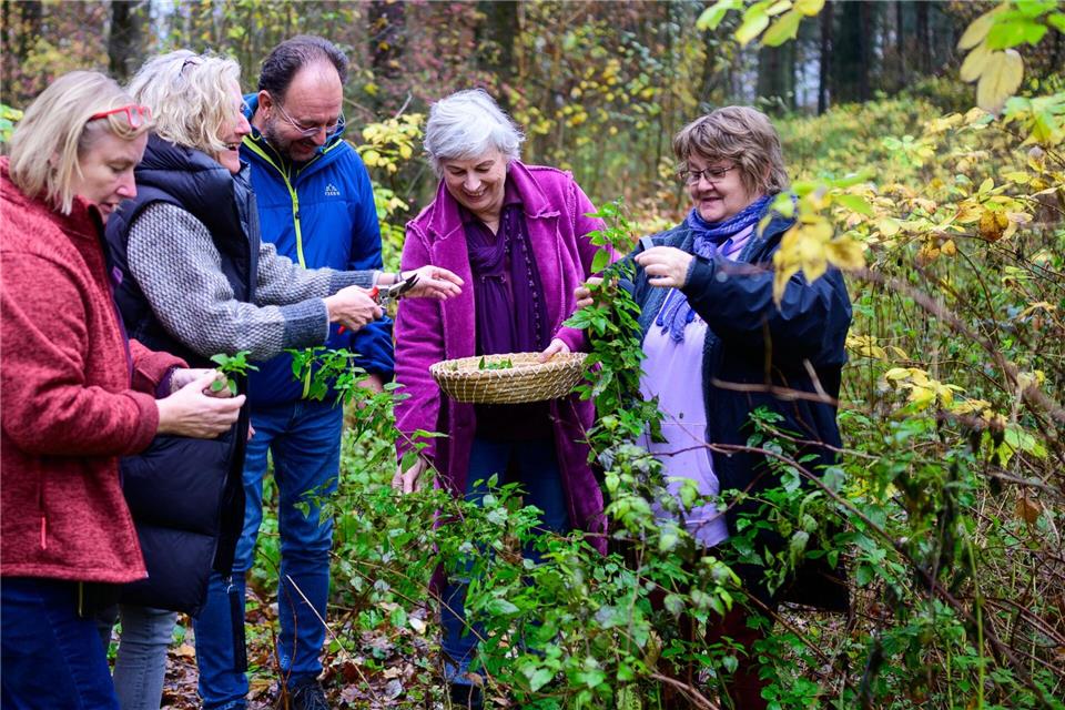In der Waldkräuterey in Amelinghausen gibt Marion Putensen ihr Wissen über heimische Kräuter in Lehrgängen weiter und bildet aus. Philipp Schulze/dpa