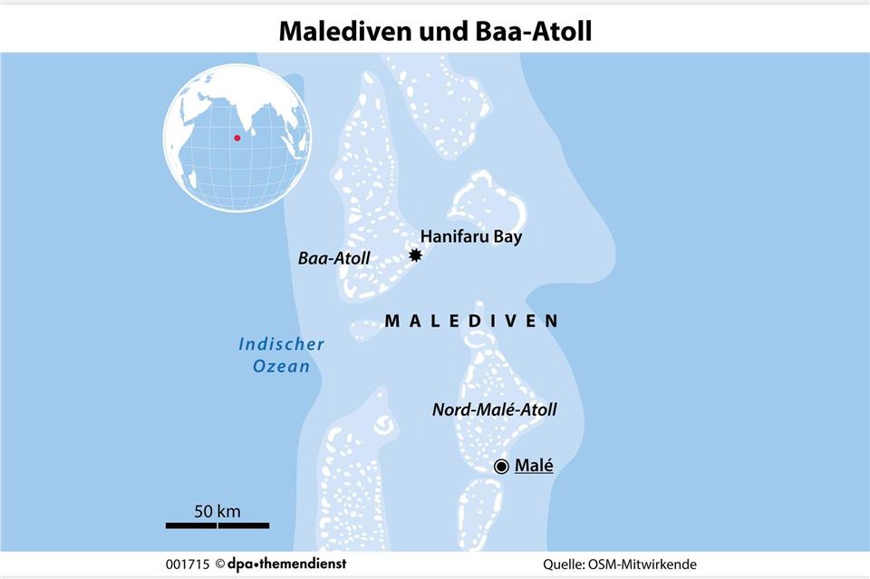 In der an Plankton reichen Hanifaru Bay des Baa-Atolls kommen regelmäßig viele Mantarochen zusammen, manchmal 100 Tiere gleichzeitig.dpa-infografik/dpa-tmn