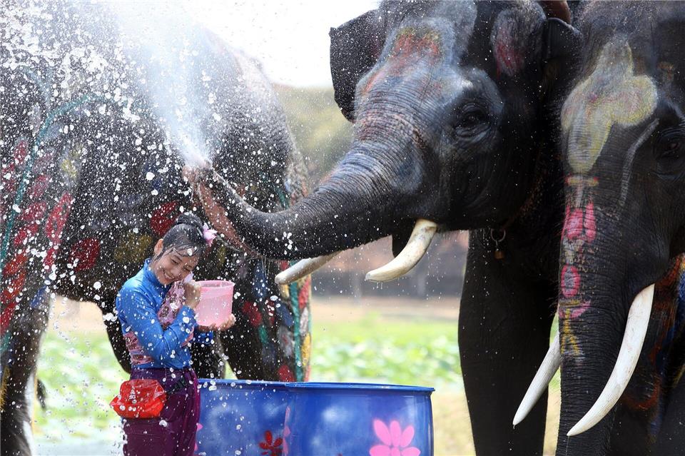 In der ehemaligen Hauptstadt Ayutthaya spritzen auch Elefanten munter mit.Rachen Sageamsak/XinHua/dpa