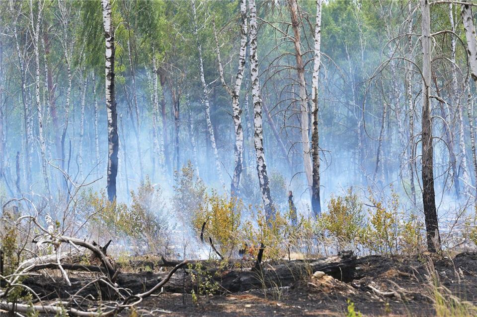 In der ersten Juli-Woche brach auf dem ehemaligen Truppenübungsplatz bei Jüterbog ein Waldbrand aus. (Archivbild)Michael Bahlo/dpa