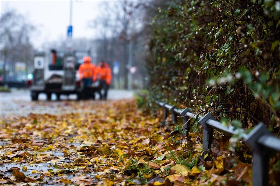 Herbst-Schmuddelwetter zum Wochenstart In der kommenden Woche soll es laut DWD mehrere regnerische Herbsttage geben. (Symbolbild)Alicia Windzio/dpa